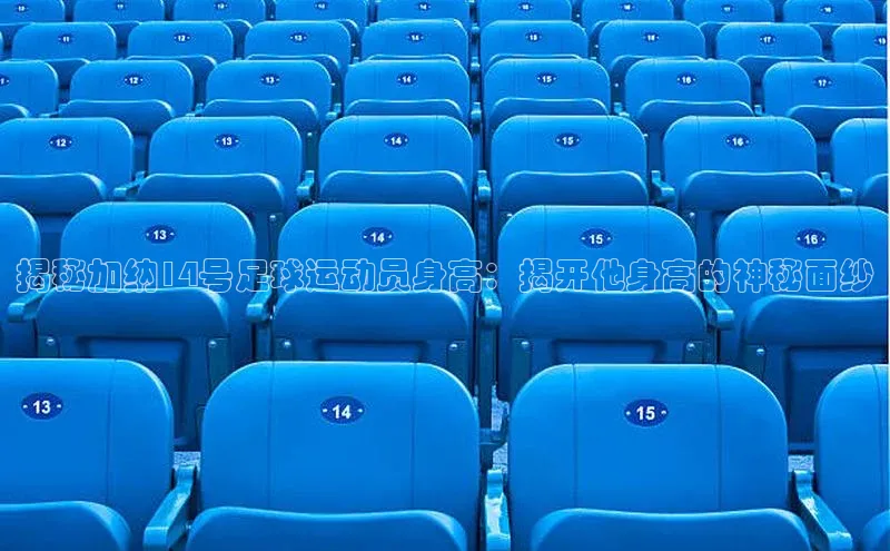 熊猫体育国足直播百度人工翻译揭秘加纳14号足球运动员身高：揭开他身高的神秘面纱