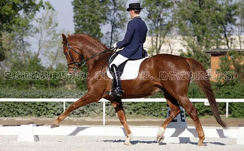 熊猫体育官方网站小红书足球运动员技巧分享：掌握守门绝招，助你成为顶尖门将！