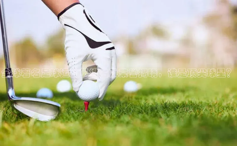 熊猫体育app官方入口百度百聘全球著名足球运动员排名及荣誉揭晓，谁是顶尖球星？