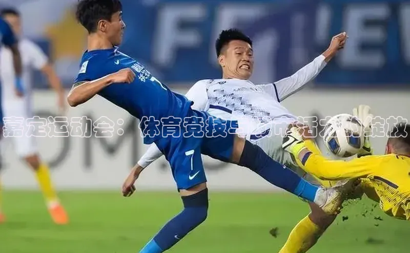 熊猫体育在线观看平台天下秀嘉定运动会：体育竞技与城市活力的绽放