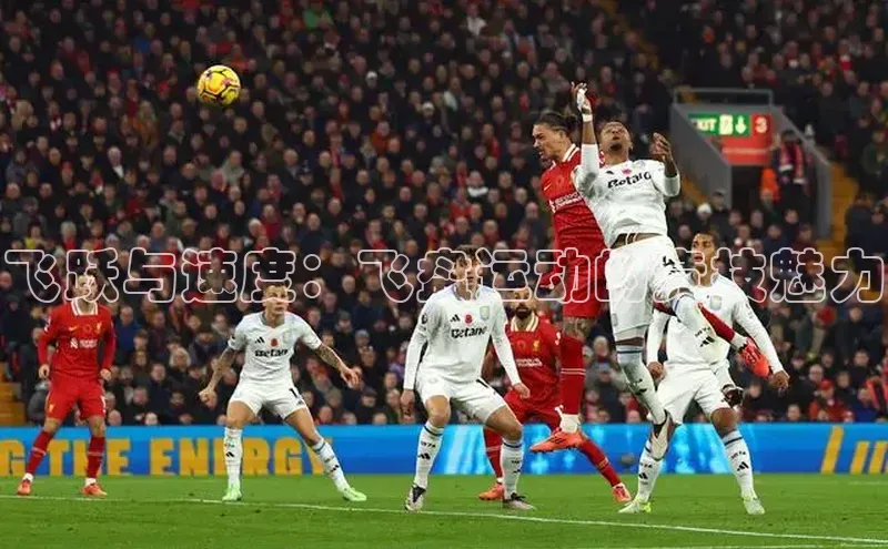 熊猫体育app官网百度大脑飞跃与速度：飞盘运动的竞技魅力