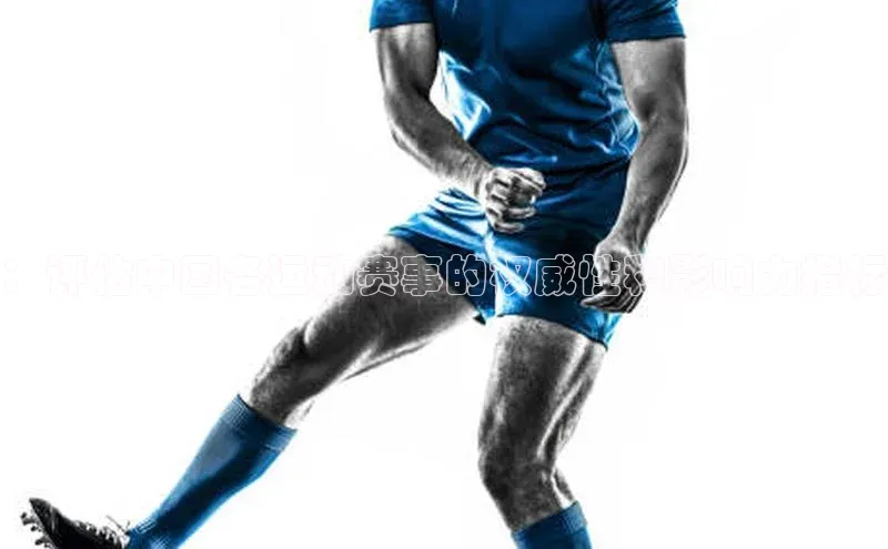 熊猫体育app百度学术：评估中国各运动赛事的权威性和影响力指标