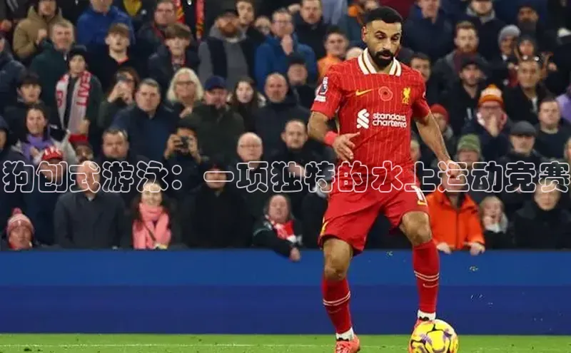 狗刨式游泳：一项独特的水上运动竞赛