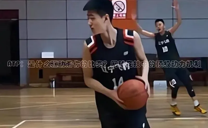 ATP：是什么驱动着你的比赛？网球竞技中的顶级动力机制