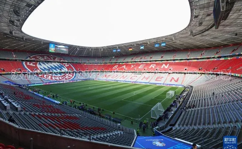 泳动激情：2023年上海国际游泳赛事盛大开幕