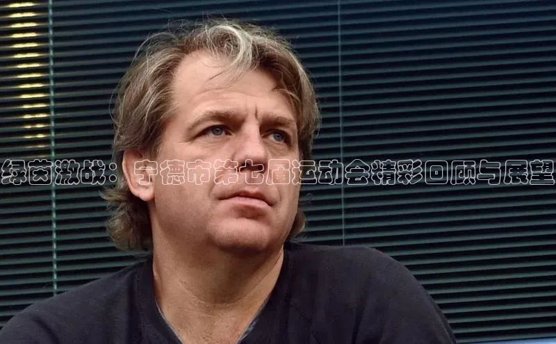 绿茵激战：宁德市第七届运动会精彩回顾与展望