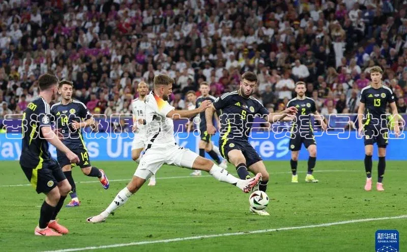 香港的极限魅力：攀岩赛事与体验