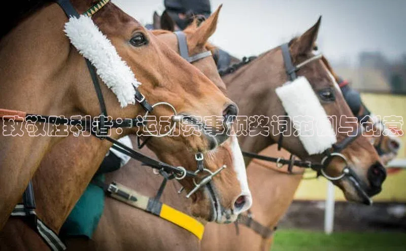 致敬胜利者：运动赛事颁奖词范例与创意