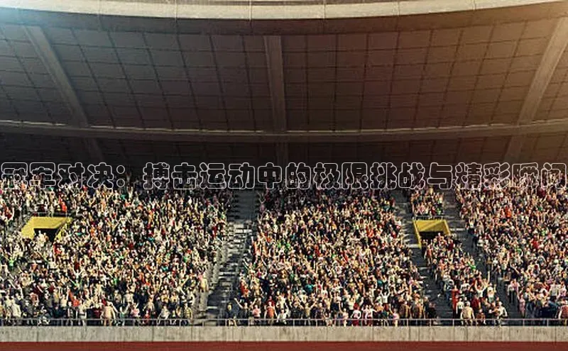 冠军对决：搏击运动中的极限挑战与精彩瞬间