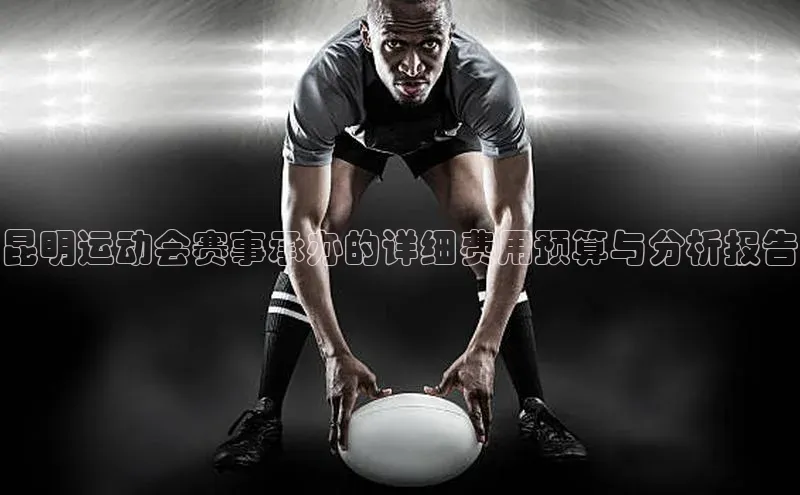 昆明运动会赛事承办的详细费用预算与分析报告