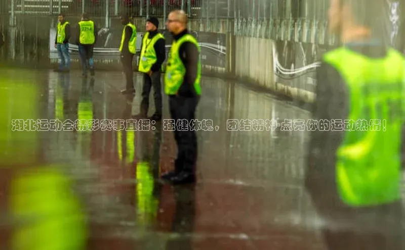湖北运动会精彩赛事直播：强健体魄，团结精神-点亮你的运动热情！