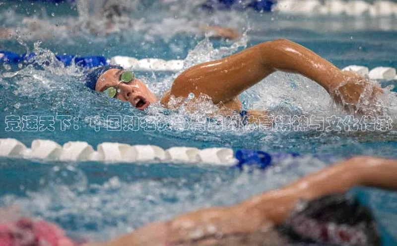 竞速天下：中国知名赛事背后的体育精神与文化传承