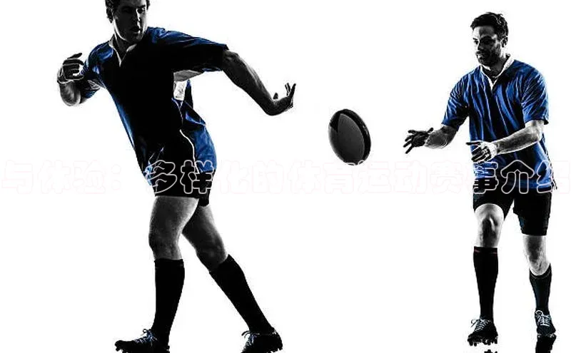 与体验：多样化的体育运动赛事介绍