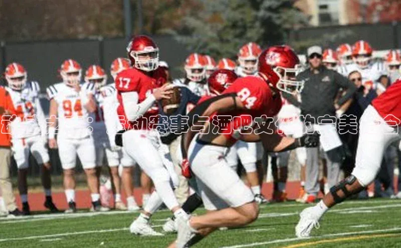 熊猫体育直播app