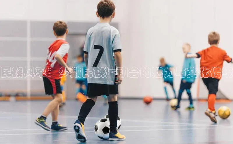 民族风采：少数民族运动会的魅力与文化传统