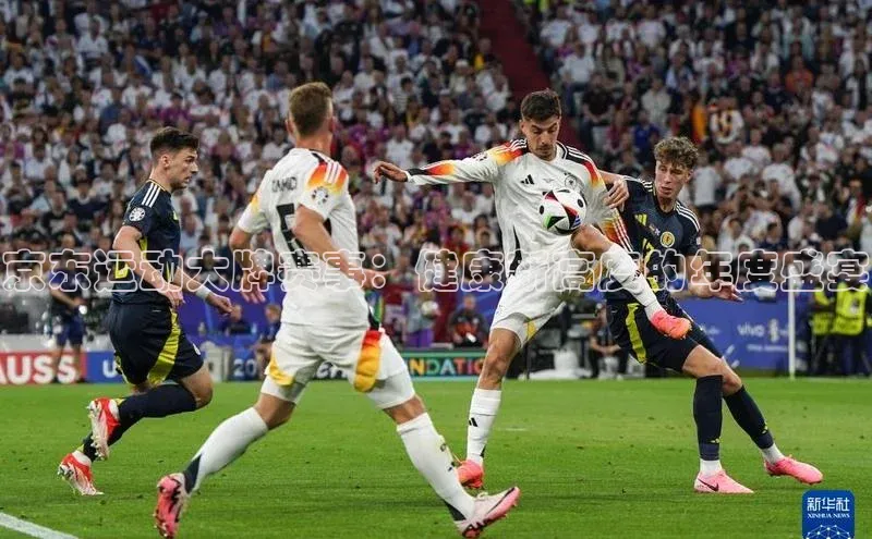 京东运动大牌赛事：健康新高度的年度盛宴